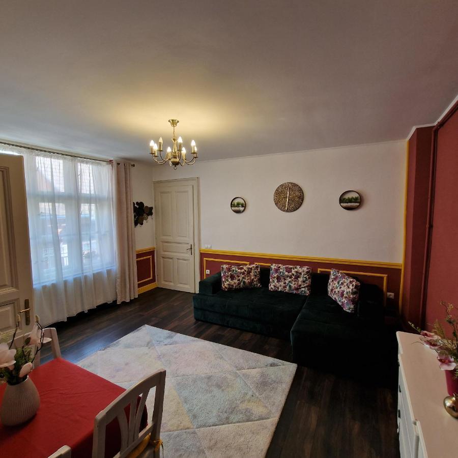 Central Park Apartment Сигишоара Экстерьер фото