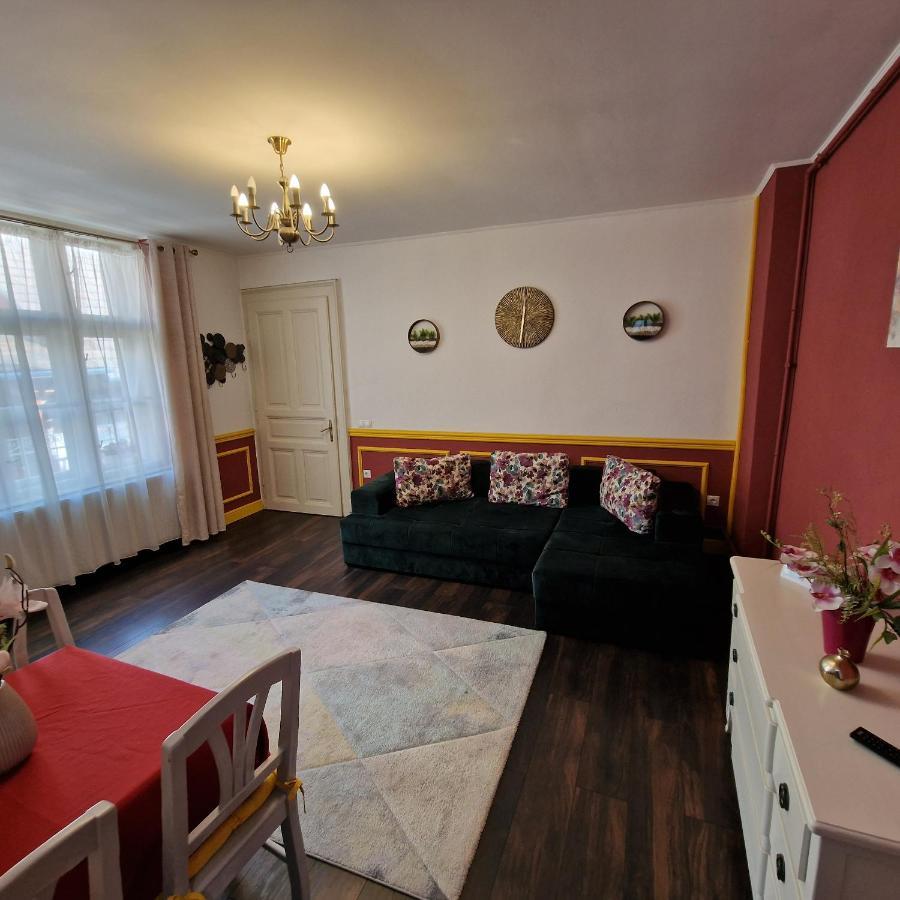 Central Park Apartment Сигишоара Экстерьер фото