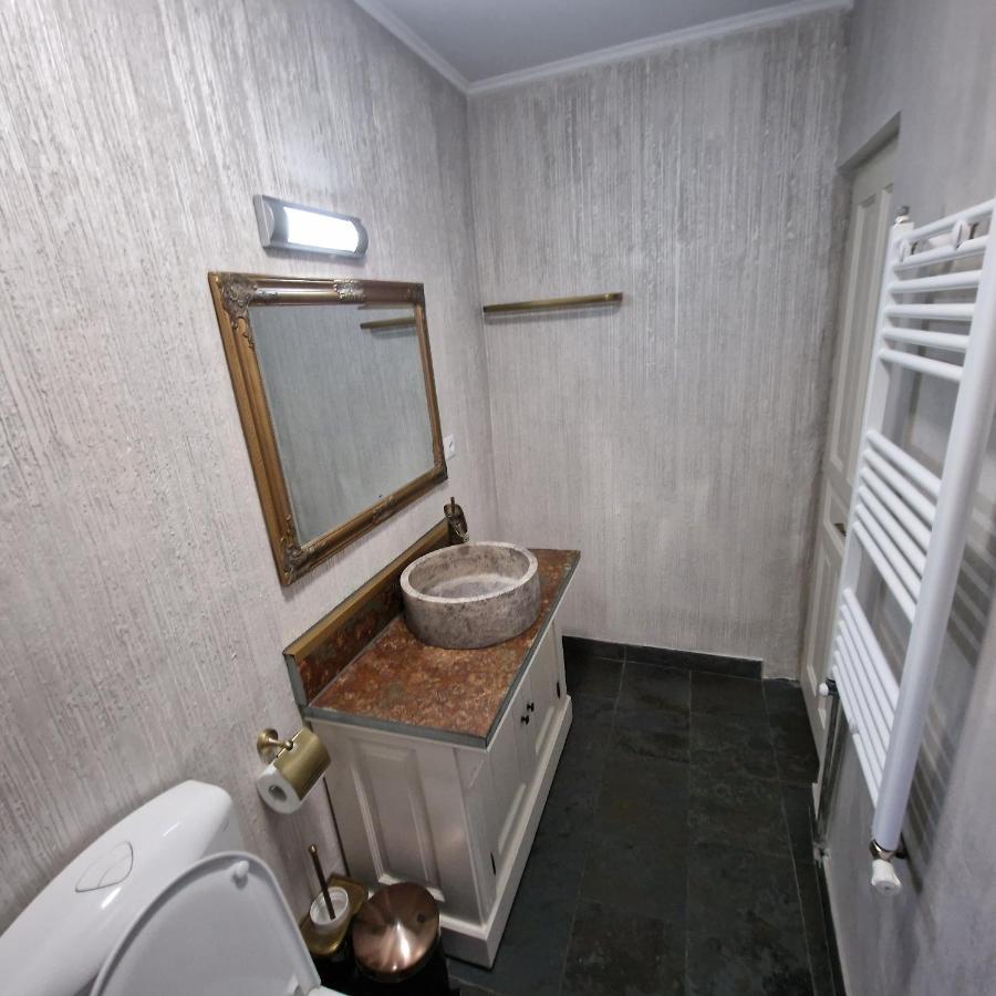 Central Park Apartment Сигишоара Экстерьер фото